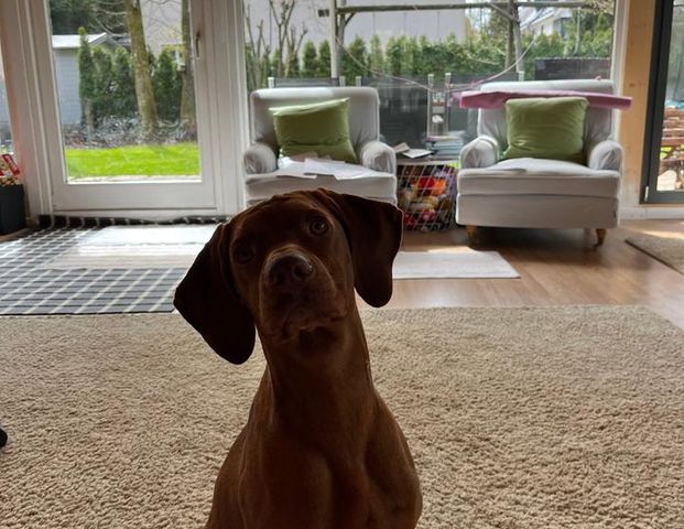 Möbliertes Zimmer auf Zeit - Photo 1