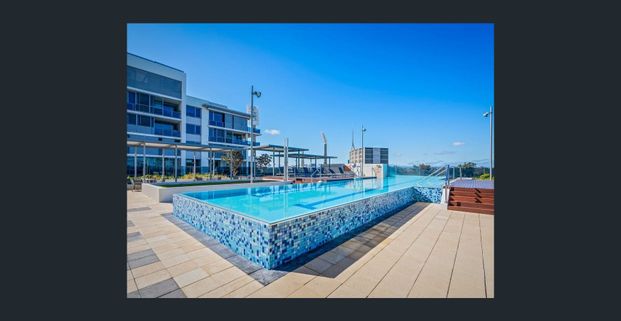 Modern Studio Living in Exclusive Queens Riverside - Photo 1