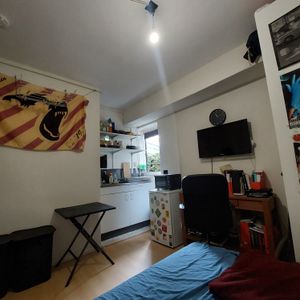 Per direct beschikbaar, leuke studentenkamer met kitchenette in Utrecht-Oost - Foto 2