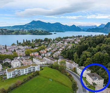 Rent a 4 rooms apartment in Luzern - Foto 1