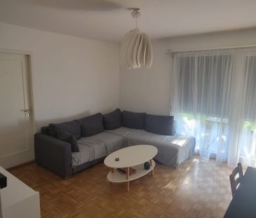 3 Zimmer, 55 m², EG - Photo 1