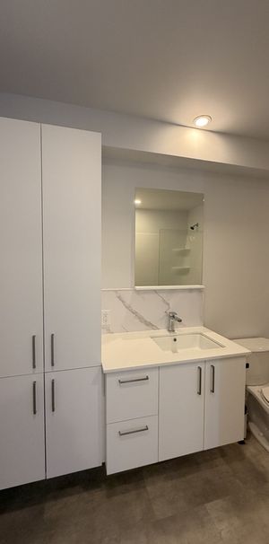 4 1/2 à Louer à Alma - Rue Goyer - Photo 1