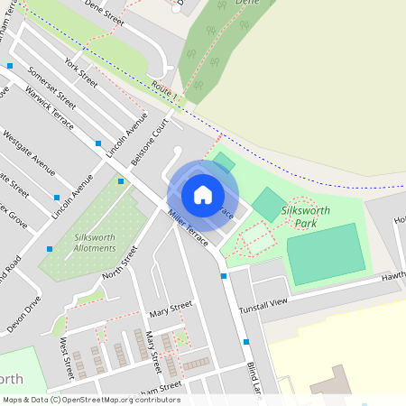 Wilson Terrace, Silksworth Sunderland