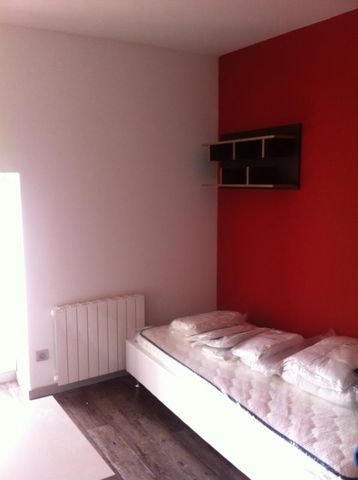 Location Appartement 1 pièce 18m² ECULLY 69130 - Photo 2