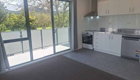 Brand New Apartment - Photo 3