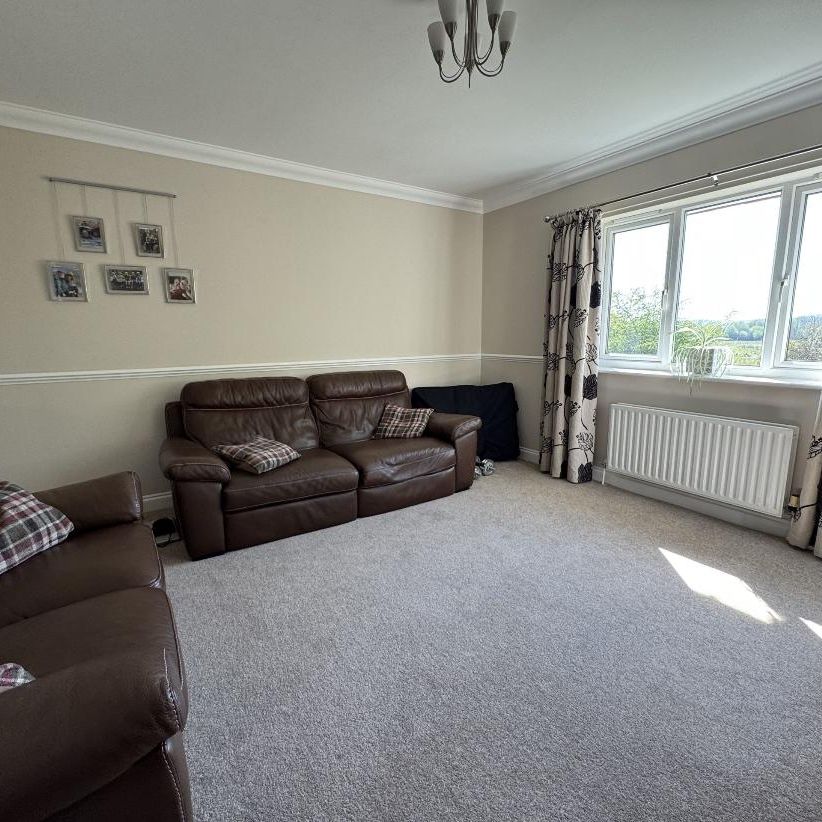 Heatherlea Lodge Bickerley Ringwood BH24 1DF - Photo 1