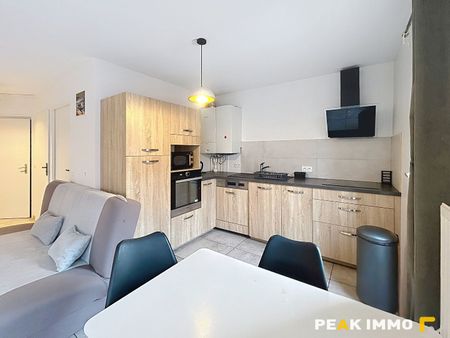 Location Appartement 1 pièce 38m² ANNEMASSE 74100 - Photo 3
