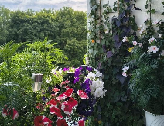 Vollmöbliertes Zimmer, Großhadern (U6) - Foto 1