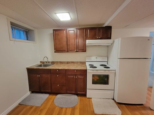 For Lease - 256 Sylvan Avenue Unit# Lower, Toronto, Ontario - Photo 1