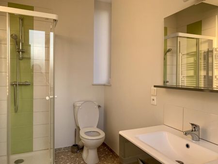 APPARTEMENT T1 A LOUER A RIORGES - MULSANT - Photo 5