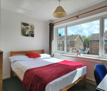 College Road 33 Room 5 - Photo 2