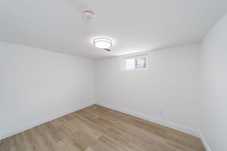 For Lease - 51 Davidson Street Unit# LOWER, Barrie, Ontario - Photo 3