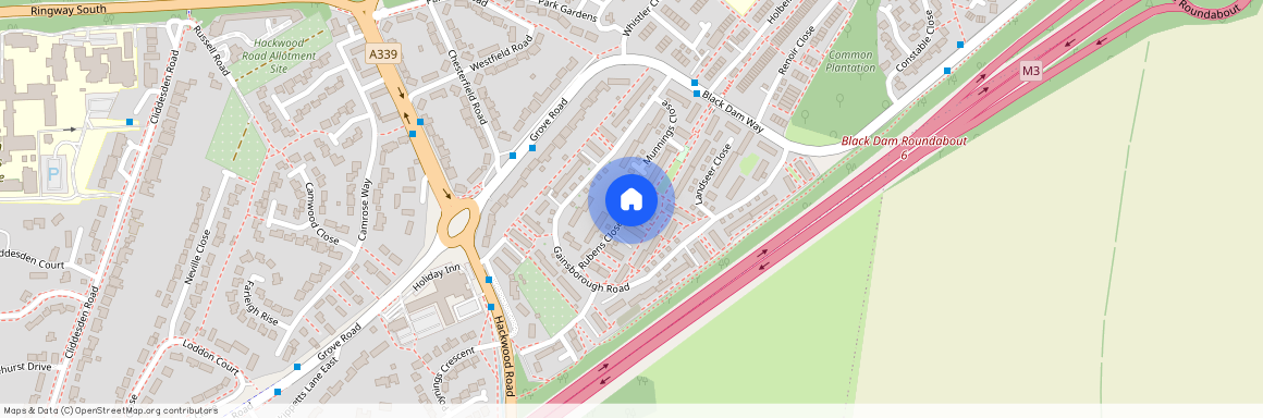 Rubens Close, Basingstoke, Hampshire, RG21