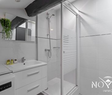 Location Appartement 1 pièce 14m² CANNES 06400 - Photo 4