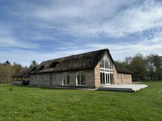 350m² Villa | Brande - Photo 1