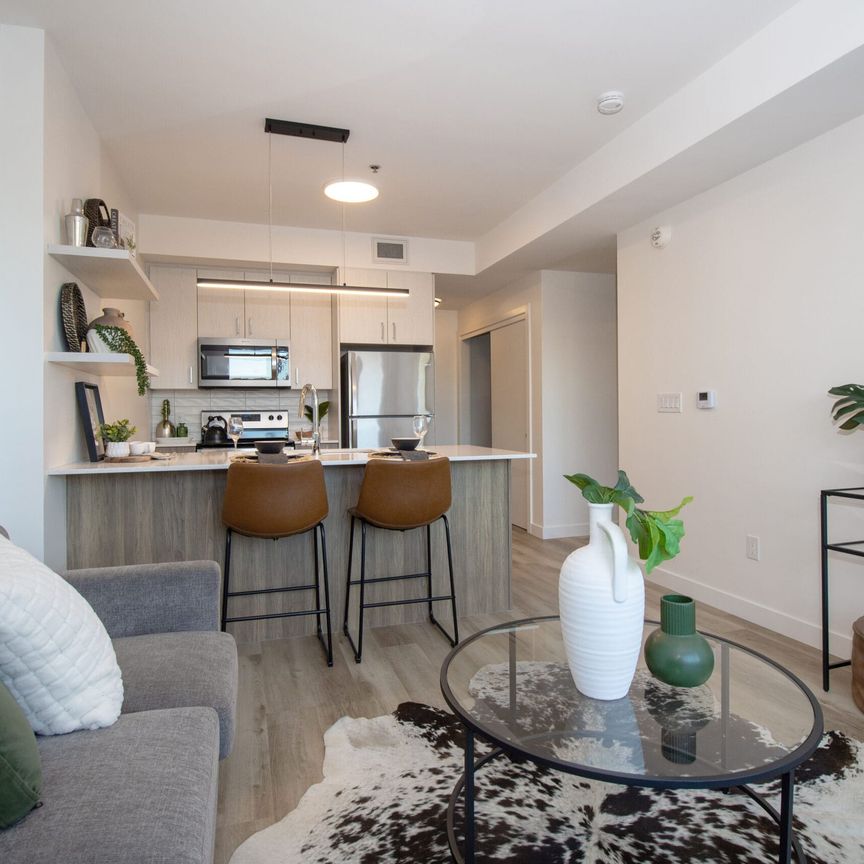 Osborne Terraces - Photo 1