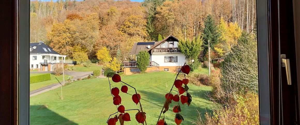 *Natur Pur - Lichtdurchflutet mit großartigem Ausblick* 4-Zimmer-Wohnung in ländlicher Lage - Photo 1