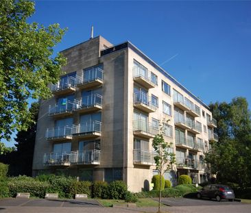 Appartement met terras en 1 slaapkamer - Foto 3