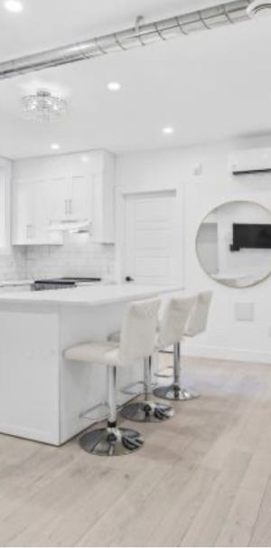 McGill Area - Superb 4 1/2 Furnished - Photo 1