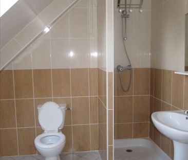 Appartement F1 + cave - Photo 4