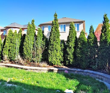 For Lease - 47 Sapphire Drive Unit# Bsmt, Richmond Hill, Ontario - Photo 6