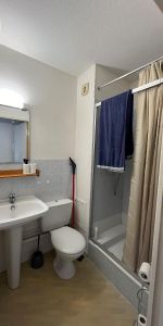 Location Appartement 1 pièce 23m² BORDEAUX 33800 - Photo 3
