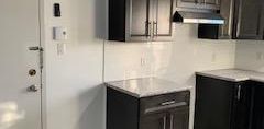 Appartement 4 1/2 à 15 minutes de Montréal - Photo 2