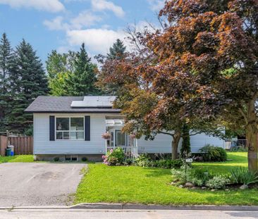 For Lease - 4 Frost Trail Unit# Bsmt, Barrie, Ontario - Photo 5