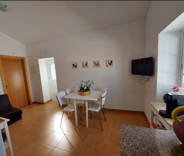 Casa Térrea T1 Zona calma totalmente renovada. Arrendamento de Outu... - Photo 6