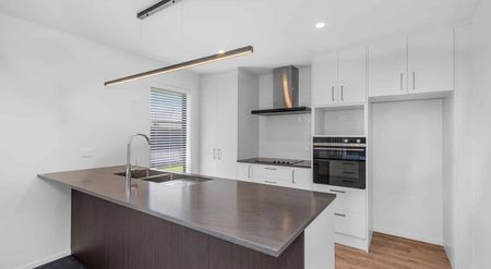 New Four Bedroom In Lincoln! - Photo 2