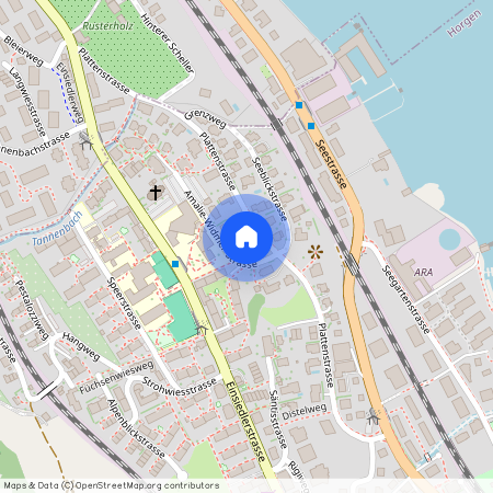 Plattenstr. 29, 8810, Horgen