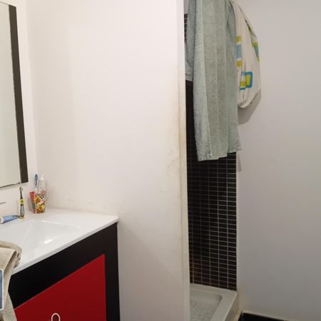 Location Appartement 2 pièces 41m² LE TAMPON 97430 - Photo 3