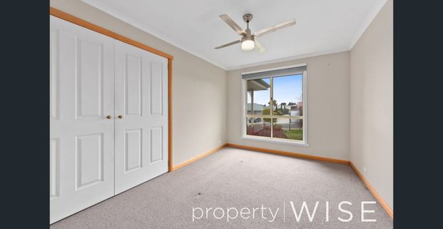 Fabulous Family Entertainer - Photo 1