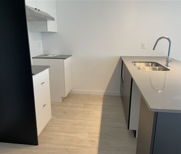 842-203 rue Lamarche, Sherbrooke, J1H 0M9 4½ (Décembre 2025) - Photo 3