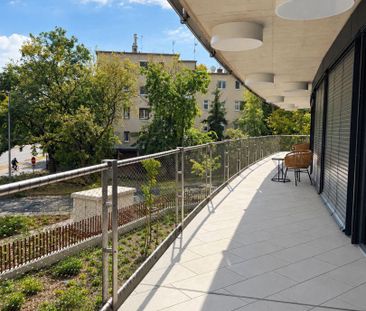 Hajdú-Bihar megye, Debrecen - Fotó 6