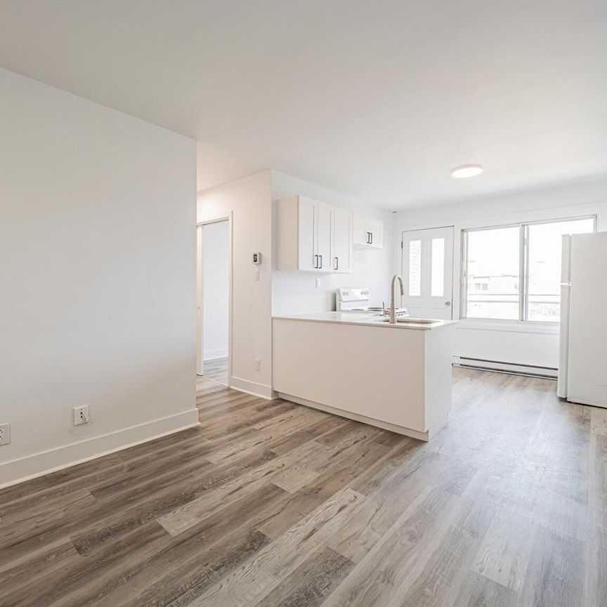 5-1/2 - 8281 Avenue Des Vendéens, Anjou - Photo 1