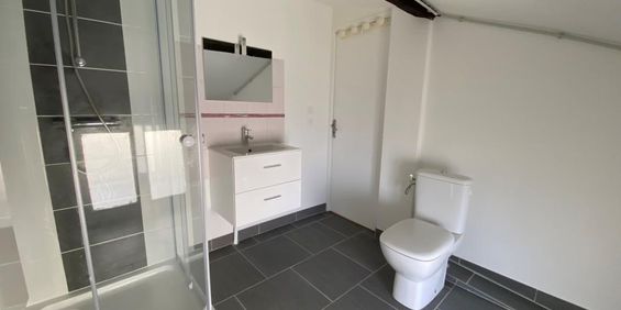 Location Appartement 2 pièces 34m² CHATEAUBRIANT 44110 - Photo 3