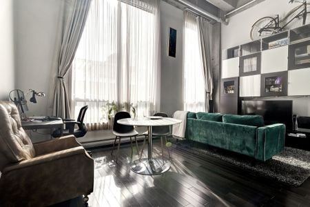 Appartement à louer - Montréal (Ville-Marie) (Centre) - Photo 3