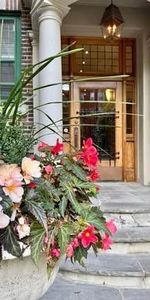 Lumineux 5 ½ au coeur d'Outremont/av. Bernard - Photo 4