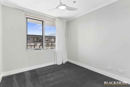 Unobstructed views to Telstra Tower and Black Mountain - Photo 5