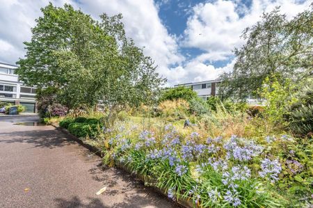 5 bedroom house to rent - Photo 5