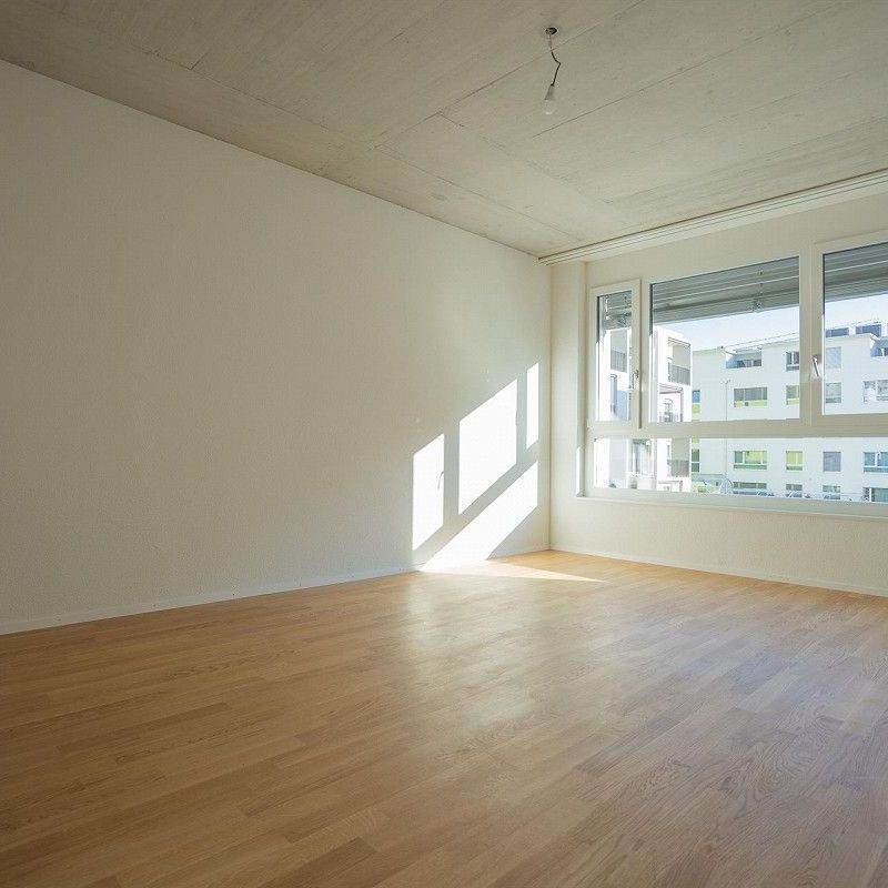 Large shared rooms with private bathroom / Grandes chambres en colocation avec salle de bain privée - Foto 1