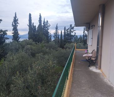Διαμέρισμα για ενοικίαση Ποσειδωνία (Ανθηδώνος) - Φωτογραφία 6