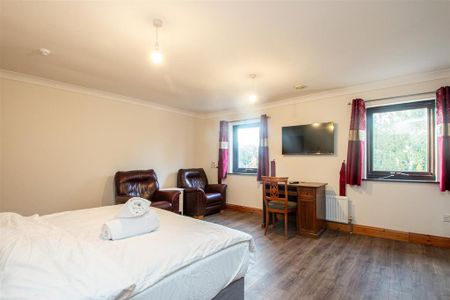 Studio to rent - Photo 2