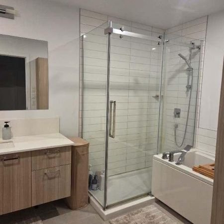 Appartement 1 chambre 1 salle de bain - Photo 4
