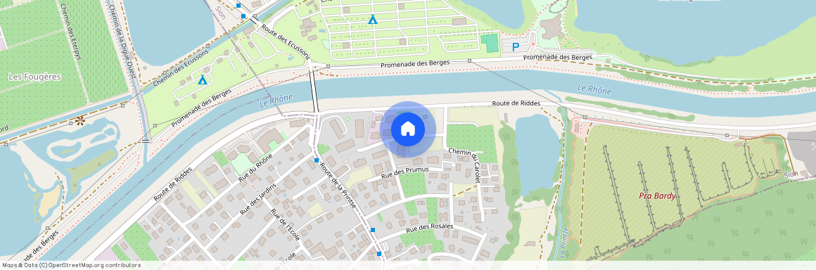 1994, Aproz (Nendaz), Chemin Du Carolet