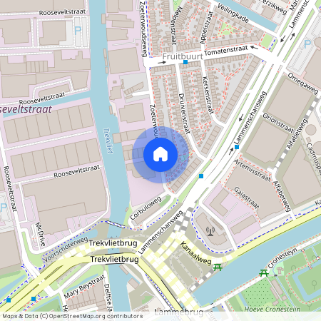 Cronestein, 2321 GS, Zoeterwoudseweg, Leiden