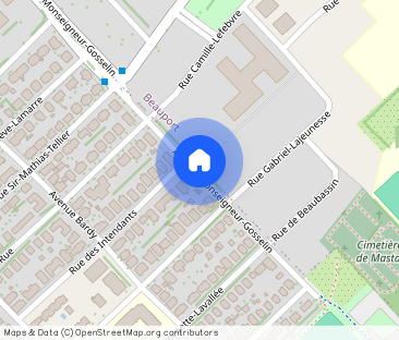 3 1/2 - Québec (Vieux-Limoilou) - 1 050 $/mois - Photo 1