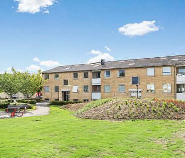 Afd. 25 Område Glarbjergvej - Foto 3