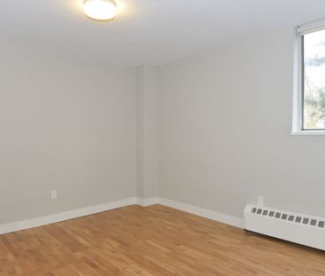 230 Oak Street - Photo 4